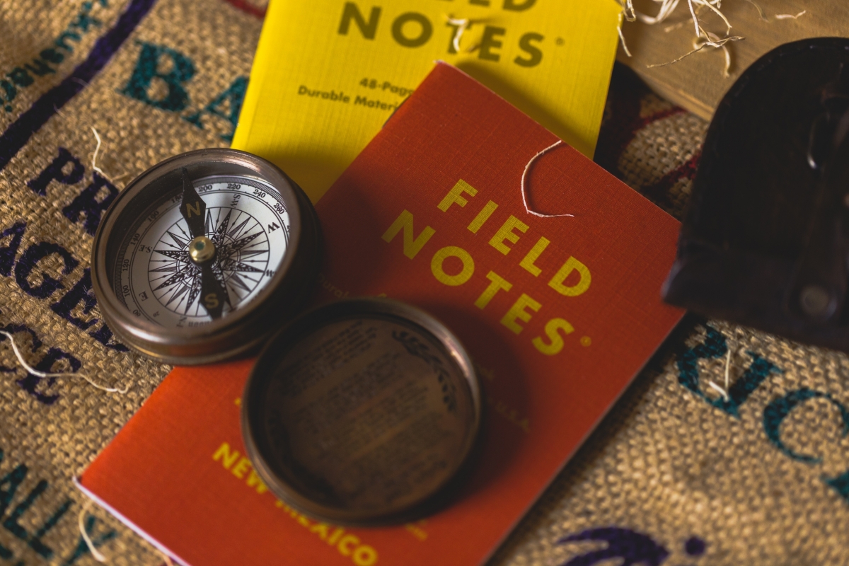 Leadership: Coaching, Erfolgsgarant im Transformationsprozess